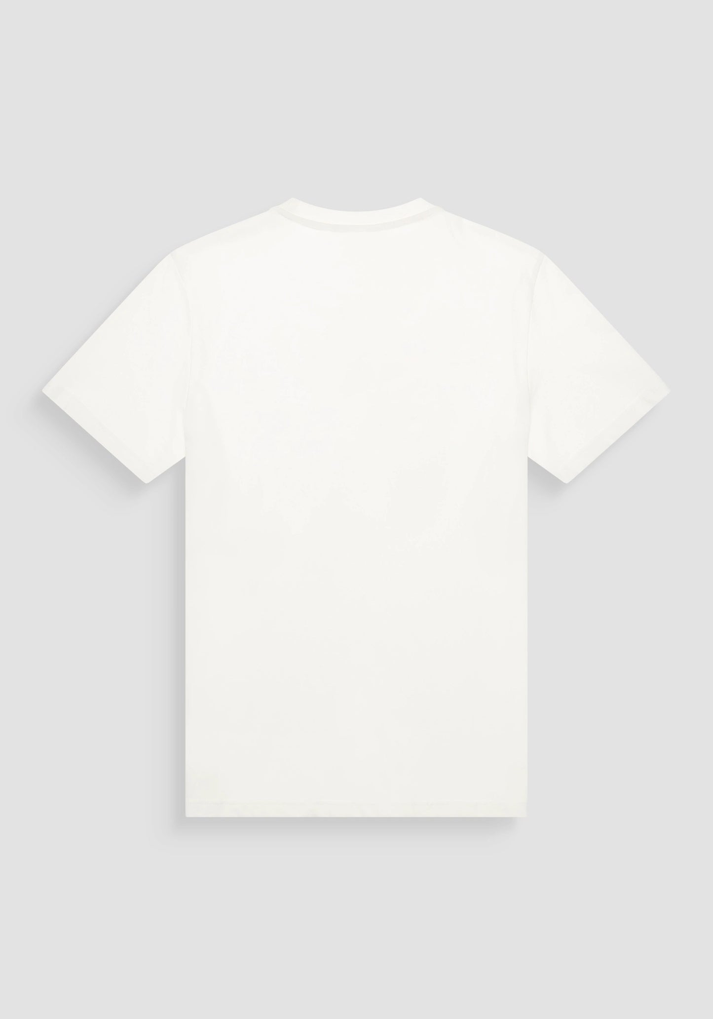 T-shirt regular fit con stampa ricamata tigre